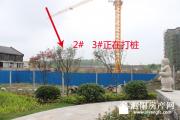 2014619Сʵ̽Ʒ̽