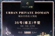 ʢ԰:35¥ƽ е˽