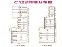 C12̻