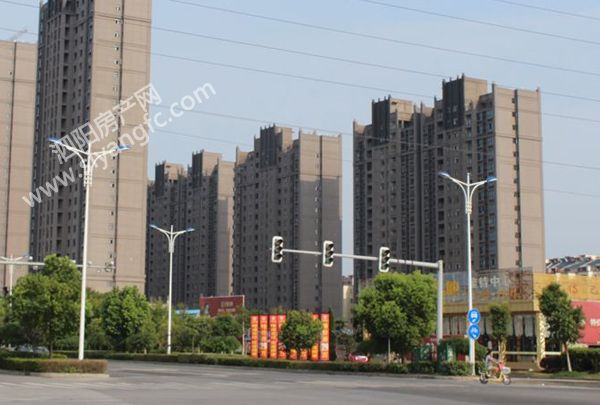 06161859de43cc85407733.jpg 01.jpg