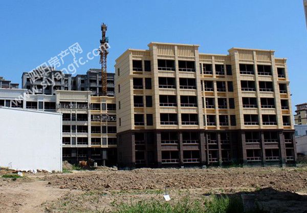 08092039b779bd3a293324.jpg 4.jpg