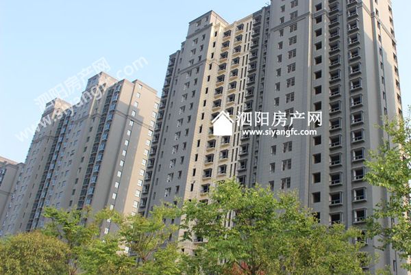 0817495370176dfe9f2426.jpg 24175635861b0e50df4473.jpg