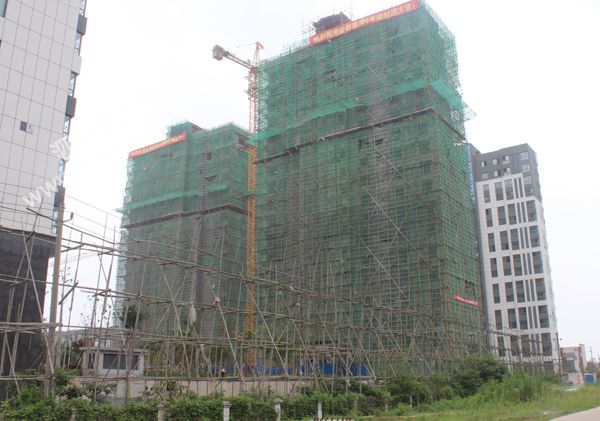 08175022e97c4d559f2372.jpg IMG_9045.jpg