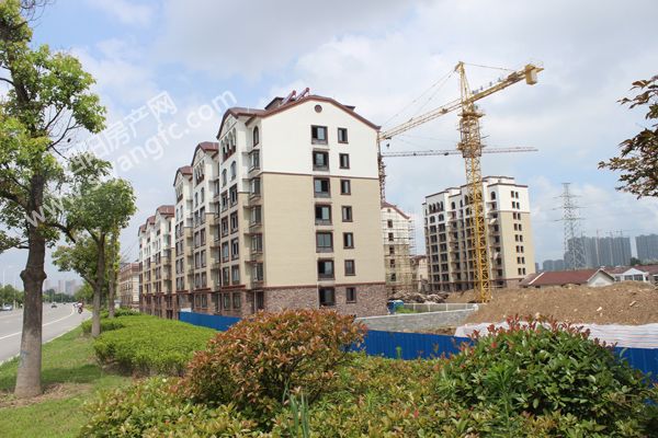 091008116af414835f2658.jpg IMG_9083.JPG