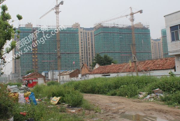 0910084603a2d50f5d2651.jpg IMG_8870.JPG