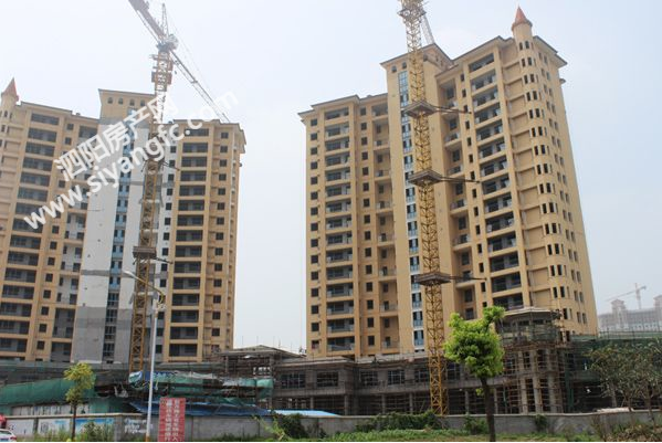 1818105587fdce55c46293.png taoy.png