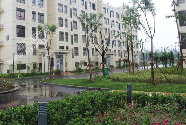 28111309cc6dbd1f144740.jpg 娴锋?.jpg