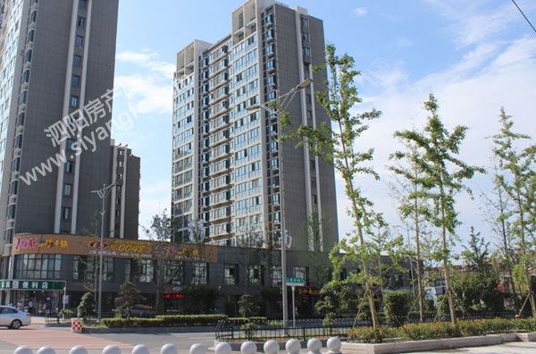 28162431b205f5f0c92912.jpg 鏂板煄甯?.jpg