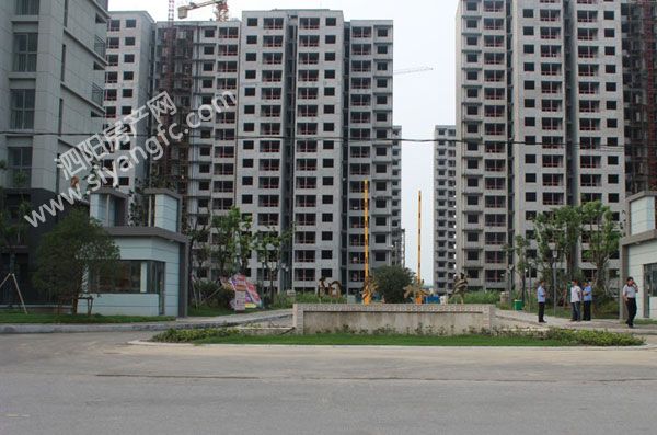 29160741460cbd44287074.jpg 闃冲厜.jpg