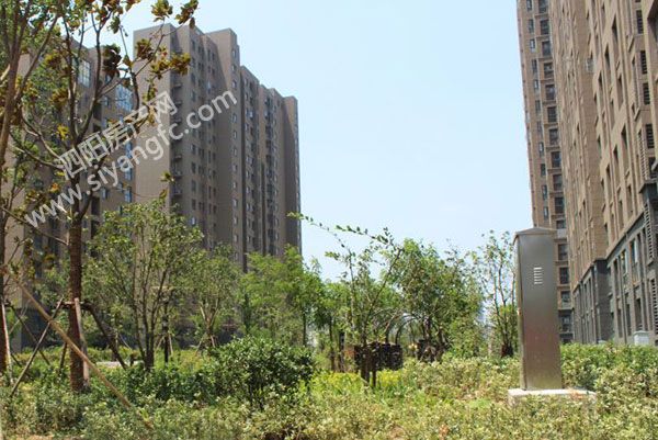 29161534c6a78bb19b0784.jpg 鏂囧煄.jpg