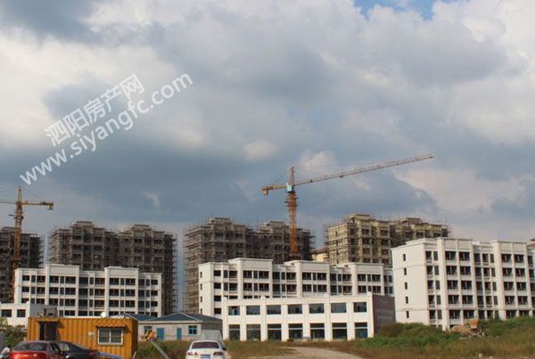 30162148d5d6a2f11b2255.jpg 鑻忓啘.jpg