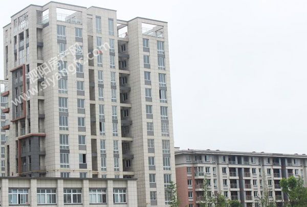 东方111.jpg